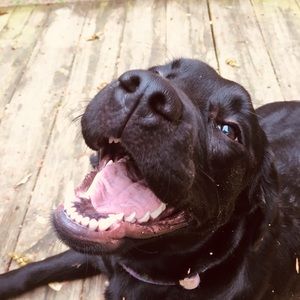 Meet your Posher, Sierra